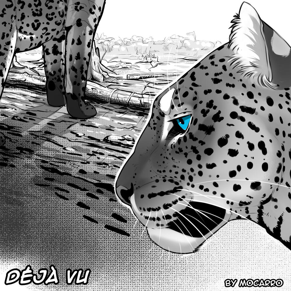 Deja Vu Page