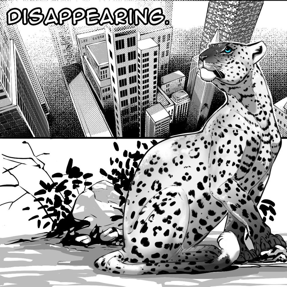 Deja Vu Page