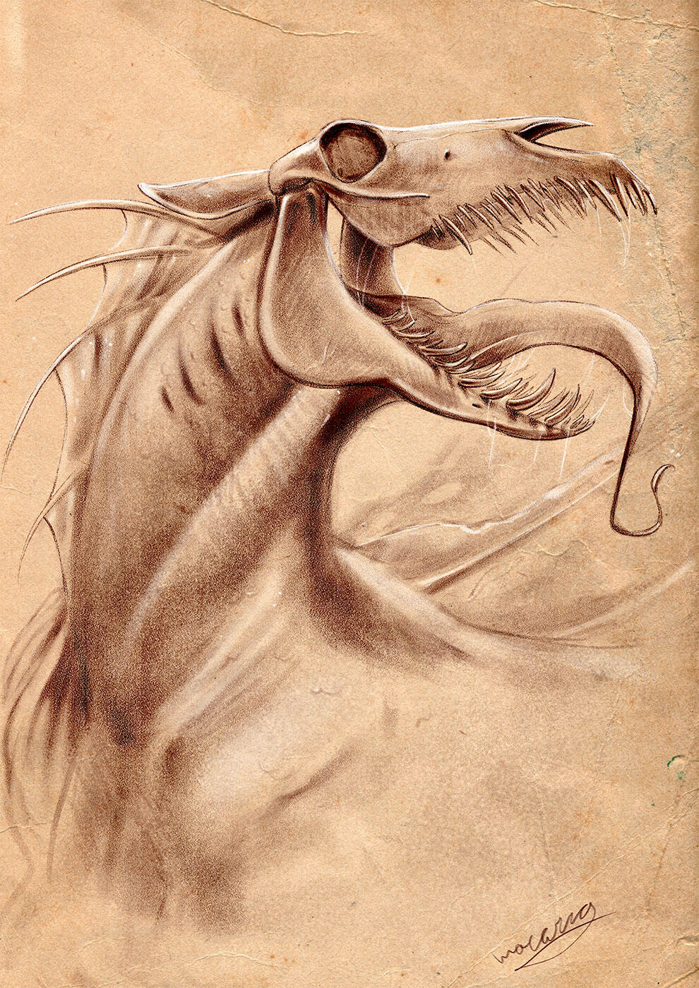 Pastel bust of a skull headed kelpie.