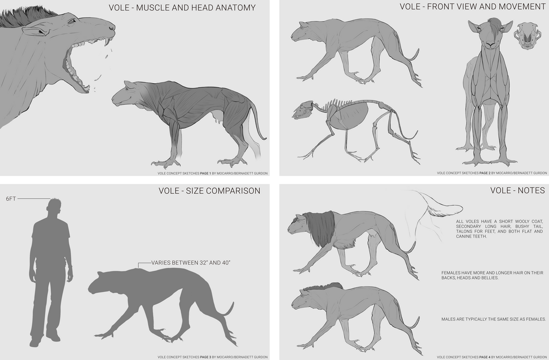 Character sheet for a DnD house rules beast