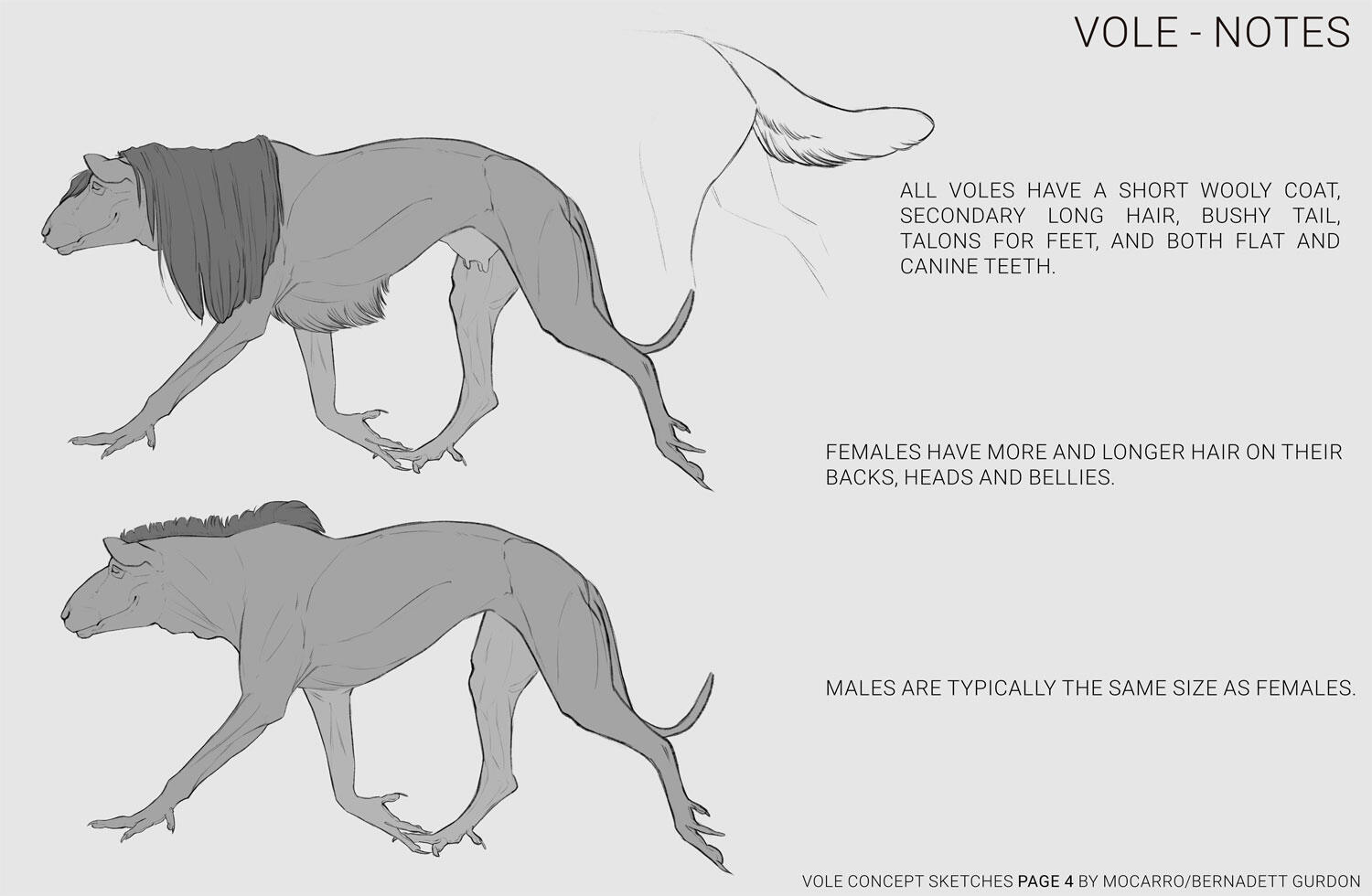 DnD Beast Vole Information