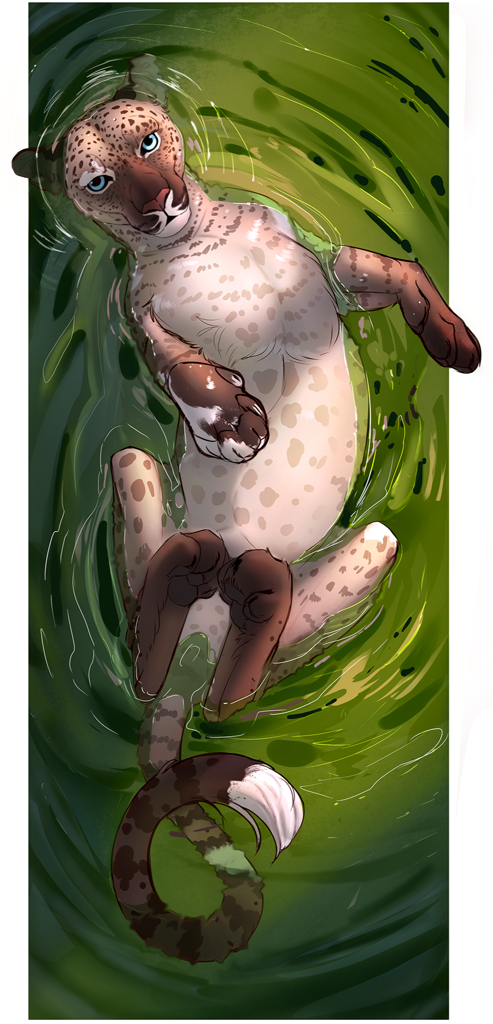 Hi. Piebald leopard card